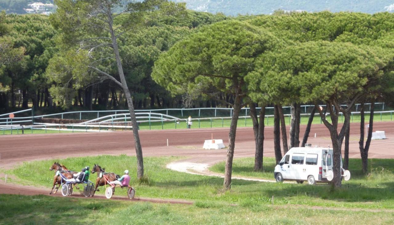 Bona, Vue Hippodrome Et Mer, Clim * Hyères