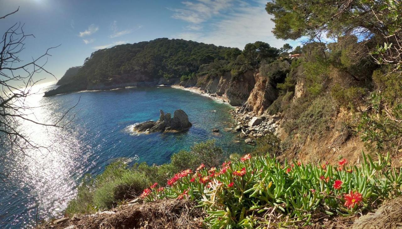Bona, Vue Hippodrome Et Mer, Clim Hyères